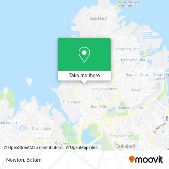 Newton map
