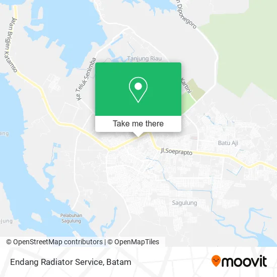 Endang Radiator Service map