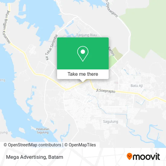 Mega Advertising map