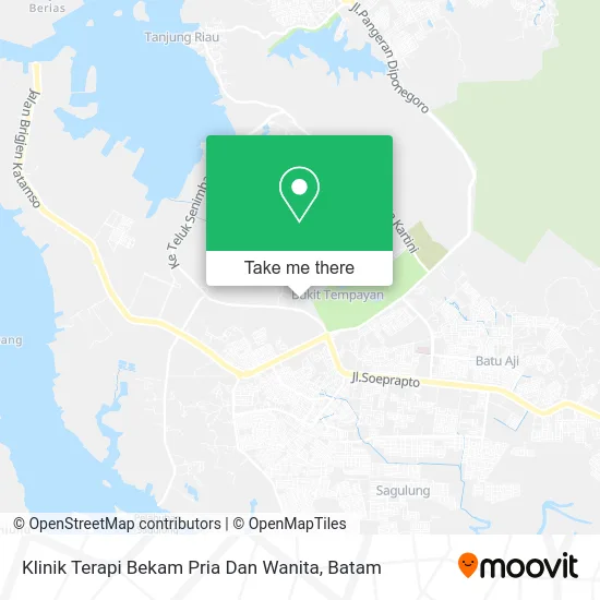 Klinik Terapi Bekam Pria Dan Wanita map