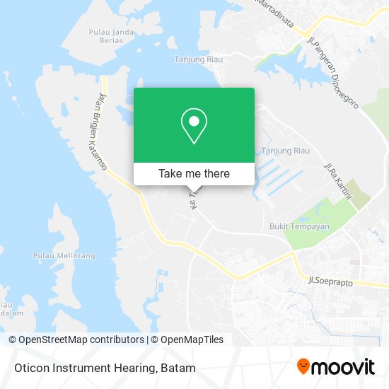 Oticon Instrument Hearing map