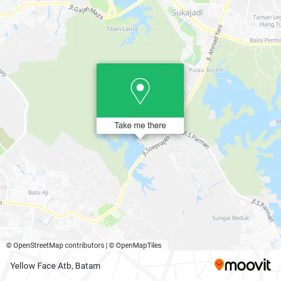 Yellow Face Atb map