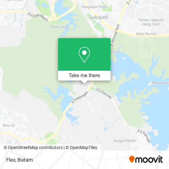 Flex map
