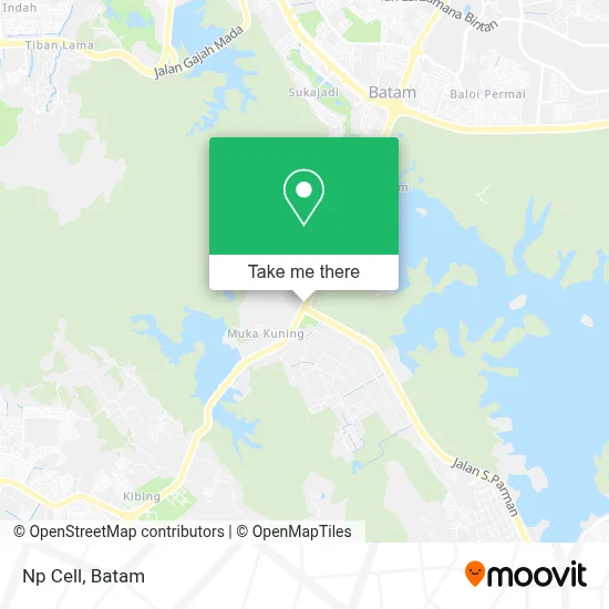 Np Cell map