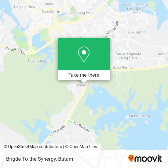 Brigde To the Synergy map