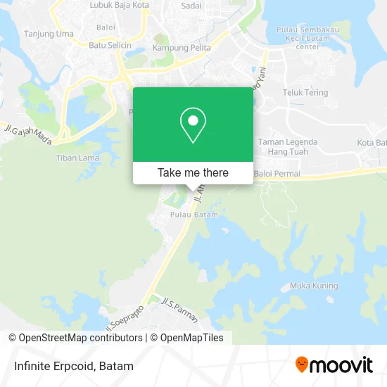 Infinite Erpcoid map