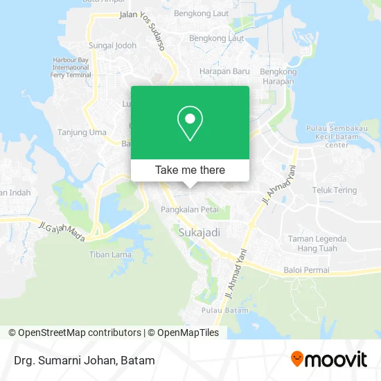 Drg. Sumarni Johan map