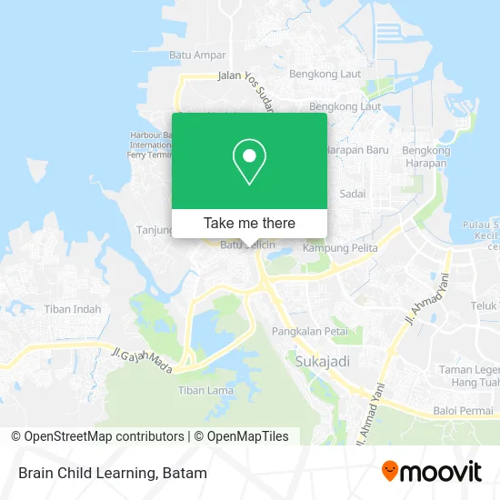 Brain Child Learning map