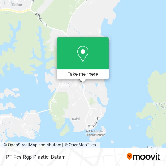 PT Fcs Rgp Plastic map