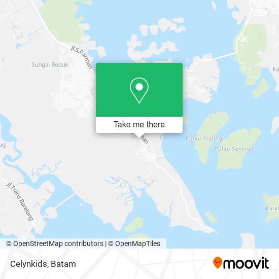 Celynkids map