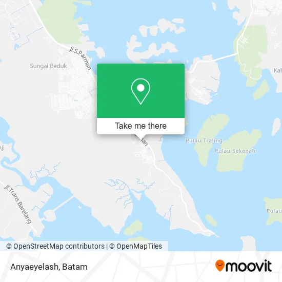 Anyaeyelash map