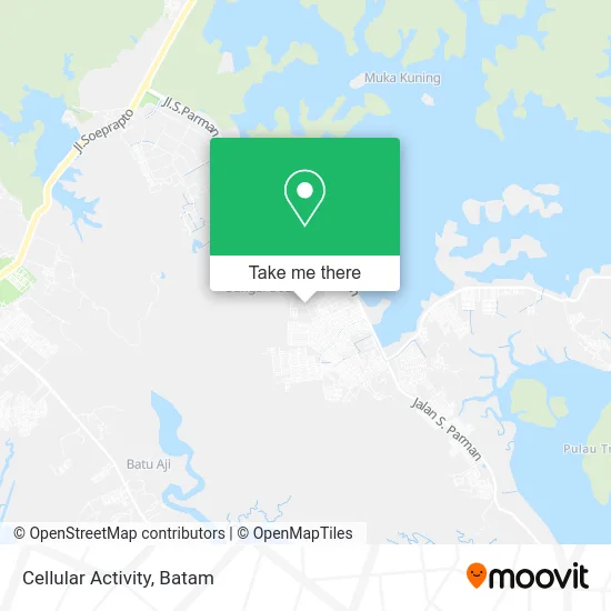 Cellular Activity map