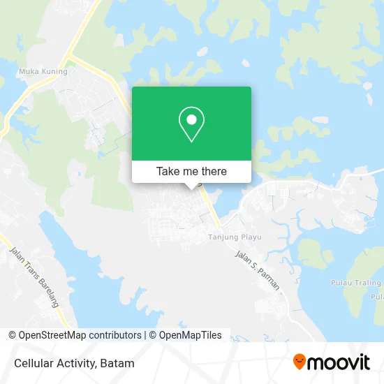 Cellular Activity map