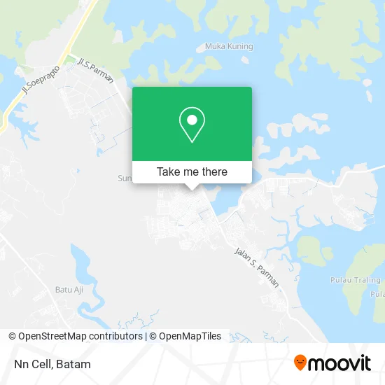 Nn Cell map
