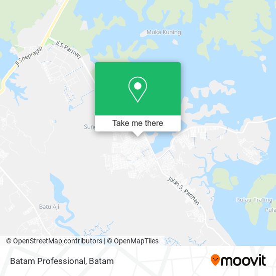 Batam Professional map