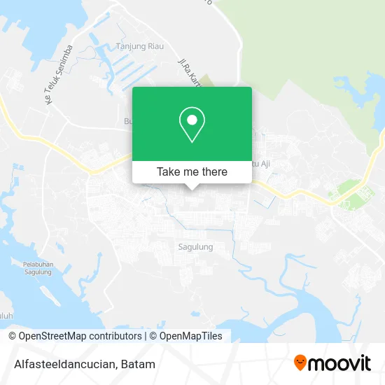 Alfasteeldancucian map