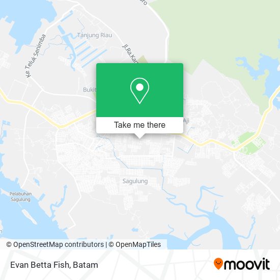 Evan Betta Fish map