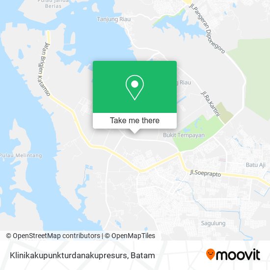 Klinikakupunkturdanakupresurs map