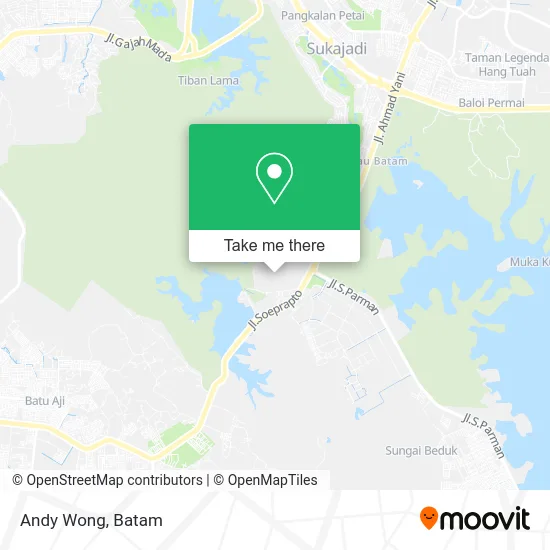 Andy Wong map