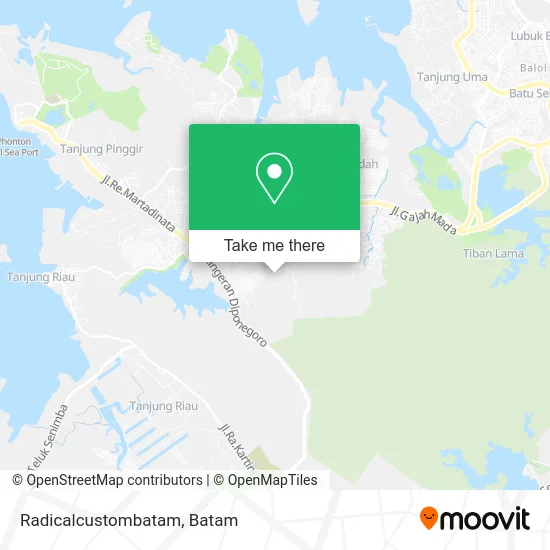 Radicalcustombatam map