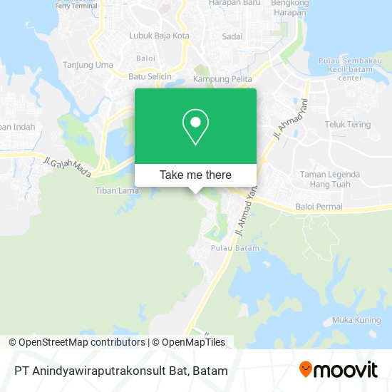 PT Anindyawiraputrakonsult Bat map
