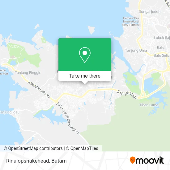 Rinalopsnakehead map