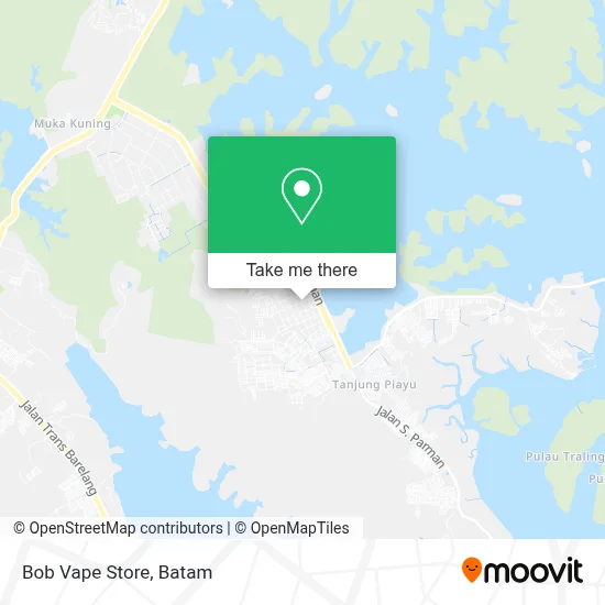 Bob Vape Store map