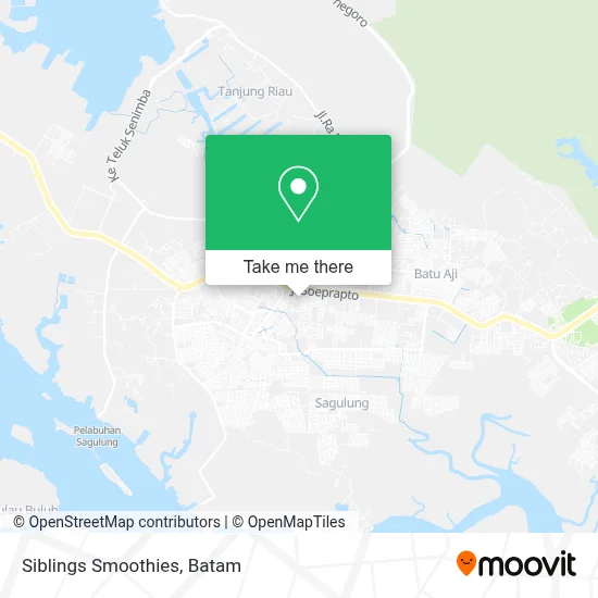 Siblings Smoothies map