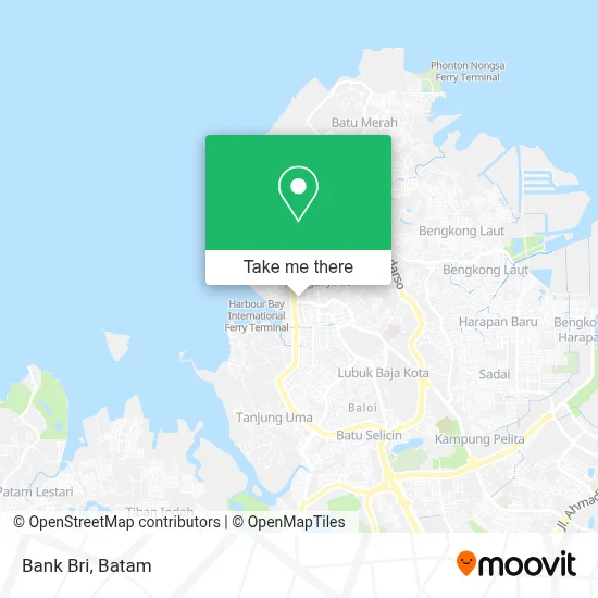 Bank Bri map