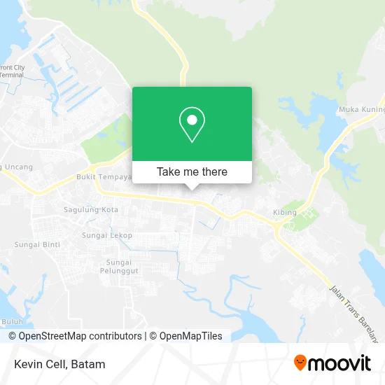 Kevin Cell map