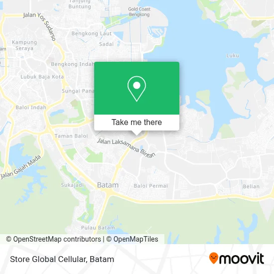 Store Global Cellular map