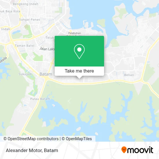 Alexander Motor map
