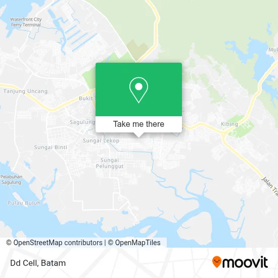 Dd Cell map