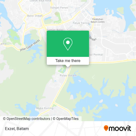 Exzel map