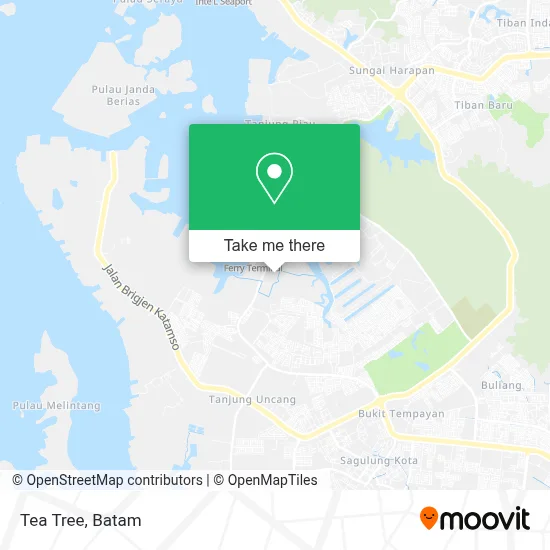 Tea Tree map