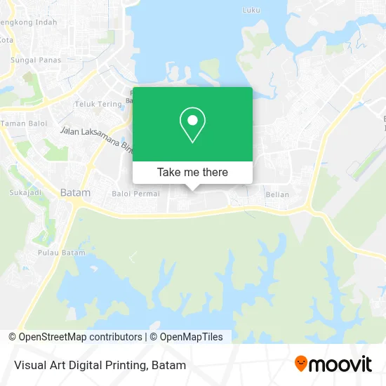 Visual Art Digital Printing map