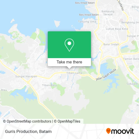 Gun's Production map
