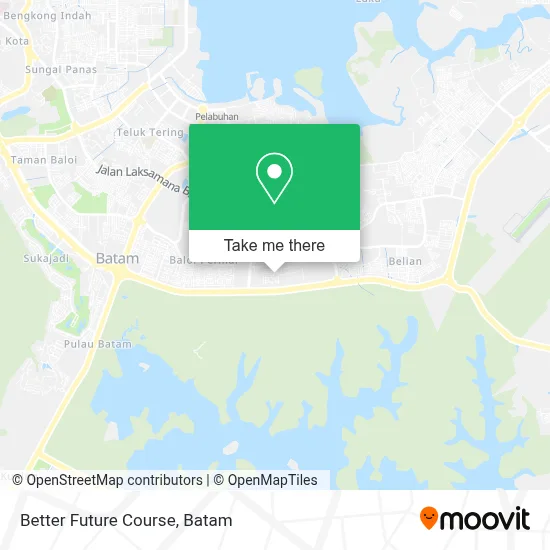 Better Future Course map