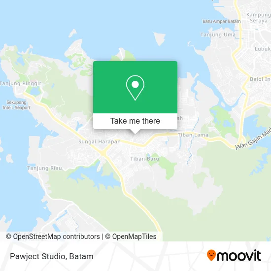 Pawject Studio map