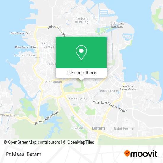 Pt Msas map