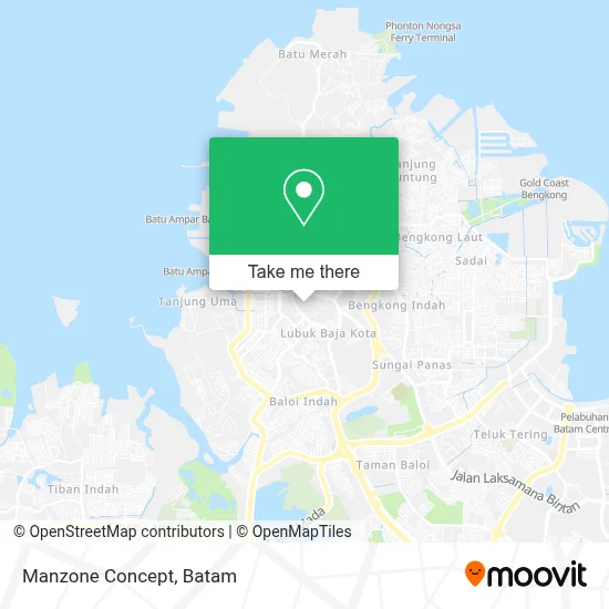 Manzone Concept map
