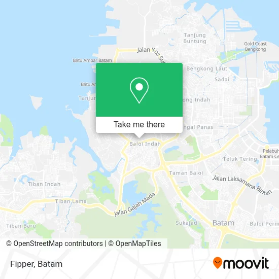 Fipper map
