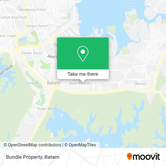 Bundle Property map
