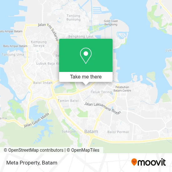 Meta Property map