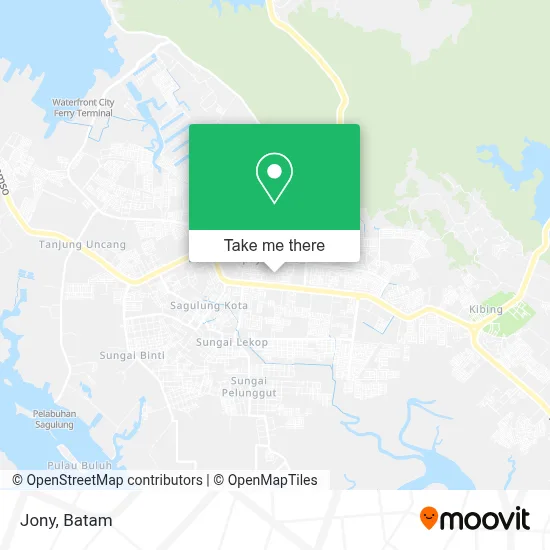 Jony map