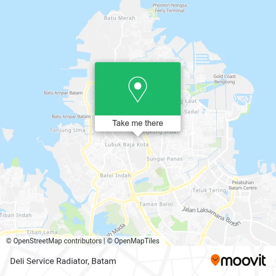 Deli Service Radiator map