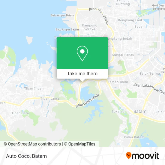 Auto Coco map