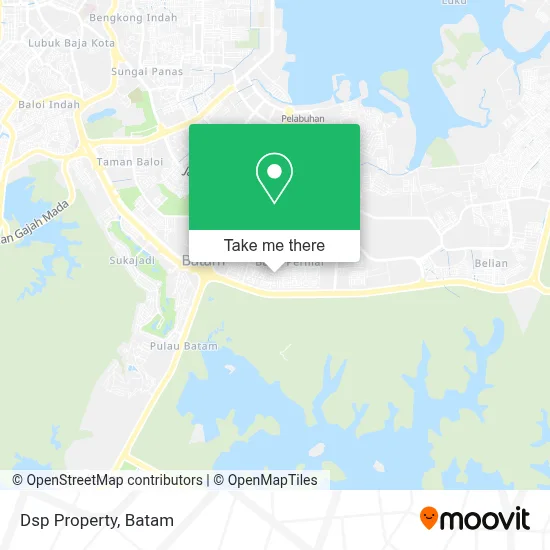 Dsp Property map