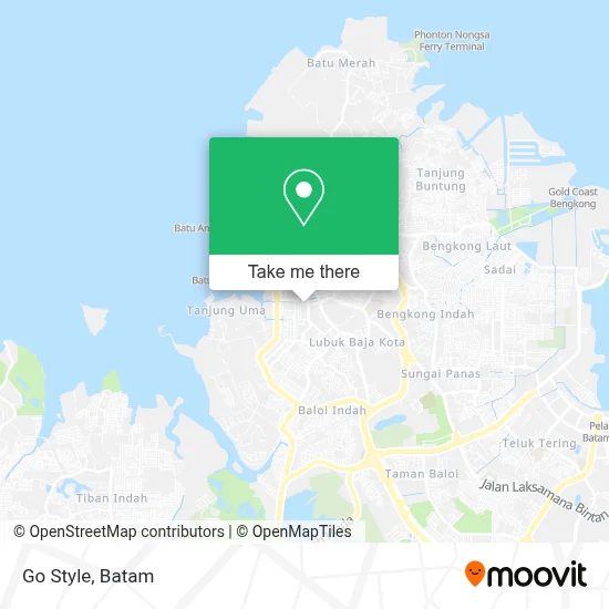 Go Style map