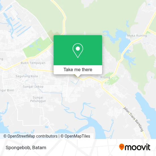 Spongebob map